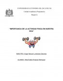 Ensayo de actividad Fisica