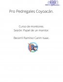 Líder y monitor, diferencia.