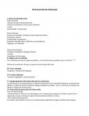 EVALUACION DE LENGUAJE
