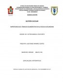 IMPORTANCIA DEL TRABAJO COLABORATIVO EN LA ESCUELA SECUNDARIA