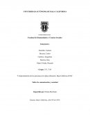 Comportamiento de las personas en la playa (Rosarito, Baja California 2018)