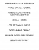 Ensayo NOMBRE DE LA ESTUDIANTE: YULIETH OBANDO VEGA