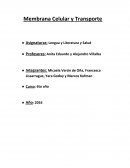 Todos los seres vivos están conformados por un conjunto de unidades mínimas llamadas células.