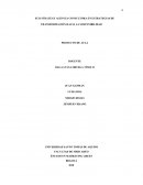 LA HISTORIA DE LAS COSAS