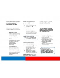 Violencia contra las mujeres PROGRAMA ESPECIALIZADO EN ATENCION A MUJERES VÍCTIMAS DE VIOLENCIA. Página 1
