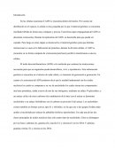 Extracción DNA