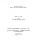 A que se debe el gran Calculo integral