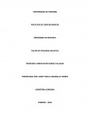 Ecologia PRESENTADO POR: SINDY PAOLA CARABALLO TORRES