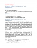 Seguridad Pública Seguridad Pública: Consideraciones sobre Planeamiento