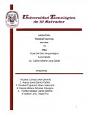 Tema de la Guia de realidad nacional