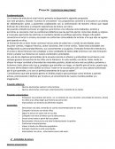 Proyecto: “CUENTOS EN SIMULTÁNEO”