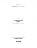 Producto 3 Diagrama de flujo de la vinculación