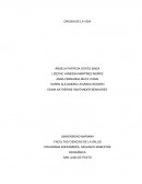 PROGRAMA ENFERMERÍA, SEGUNDO SEMESTRE BIOQUÍMICA