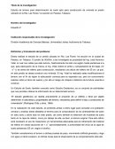 Estudio de terreno para determinación de suelo apto para construcción de vivienda en predio ubicado en la Ría. Las Flores 1ra sección en Paraíso, Tabasco.