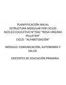 Modelo de estructura NÚCLEO EDUCATIVO N°7042 “ROSA VIRGINIA PELLETIER”