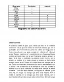 Observaciones: Glosario