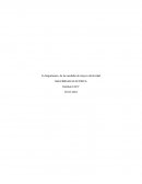 La Importancia de las medidas de mayor efectividad SEGURIDAD ELECTRICA