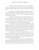 Ensayo sobre la felicidad , los filósofos Aristóteles, Epicuro, Nietzsche, José Ortega y Gasset, y Slavoj Zizek