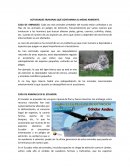 Actividades humanas que contamina al medio ambiente