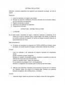Anatomia y fisiologia Definición: conductos específicos del organismo que transportan la sangre por todo el cuerpo.