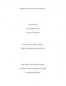 PRODUCTORA DE POLLOS “SURTIPOLLO”