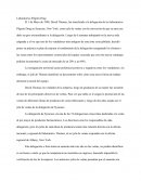 PILGRIM CASE Laboratorios Pilgrim Drug