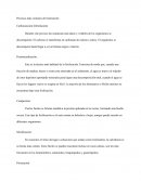 Procesos más comunes de fosilización