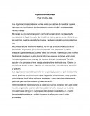 Organizaciones sociales trabajo