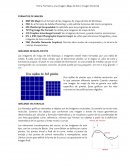 COMO SE DA LOS FORMATOS DE IMAGEN