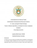 Tarea II ROHESA Universidad de las Américas Puebla