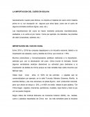 LA IMPORTACION DEL CUERO EN BOLIVIA