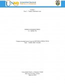 Trabajo presentado para el curso de SISTEMAS OPERATIVOS