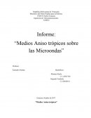 Cuales son los Medios Aniso trópicos sobre las Microondas