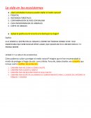 ¿Qué actividades humanas pueden dañar el medio natural?