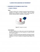 Ejemplo de la Exportación de frutas