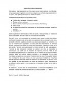 Animación externa comunitaria