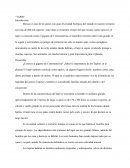 Ejemplo de ensayo