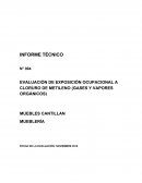 EVALUACIÓN DE EXPOSICIÓN OCUPACIONAL A CLORURO DE METILENO (GASES Y VAPORES ORGÁNICOS)