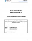 PEPP GESTIÓN DEL MANTENIMIENTO