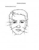 Identifico, señalo y escribo las siguientes partes del cuerpo: Practica de ciencias