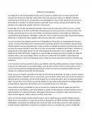 Reflexión metacognitiva