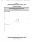 DETERMINACION DE OBJETIVOS SENATI