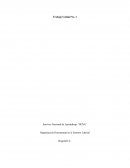 La organización documental del entorno laboral, es en la actualidad una de las herramientas de calidad