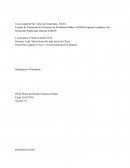 Desarrollo Cognitivo Físico y Socioemocional en la Infancia