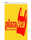 Plaza Vea Administración Científica