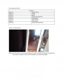 Ray proyecto Cámara 1