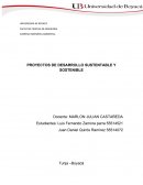 PROYECTOS DE DESARROLLO SUSTENTABLE Y SOSTENIBLE