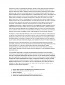 Ensayo veruzka