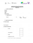 SECRETARIA DE EDUCACIÓN DE VERACRUZ HISTORIAL FICHA INDIVIDUAL ACUMULATIVA