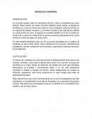 Bosque de coníferas INTRODUCCIÓN.